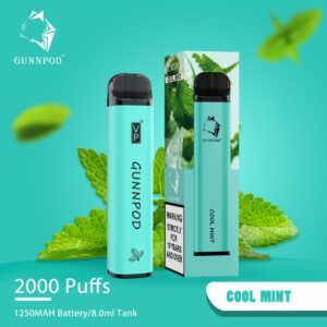 gunnpod cool mint 2000 puff