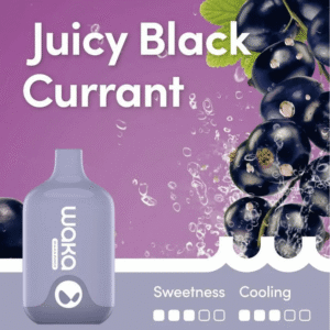 WAKA SMASH JUICY BLACK CURRANT - 6000 PUFFS
