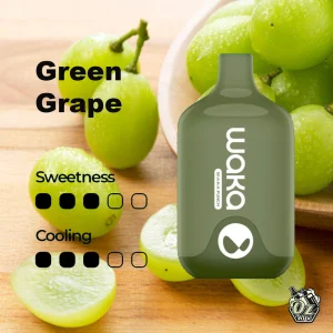 WAKA SMASH GREEN GRAPE - 6000 PUFFS