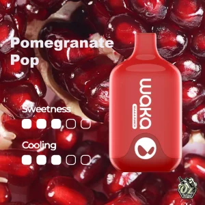 WAKA SMASH POMEGRANATE POP - 6000 PUFFS