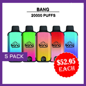 BANG - 5 PACK - 20000 PUFFS