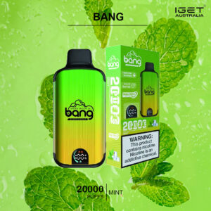 BANG - MINT - 20000 PUFFS