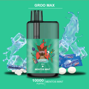 GROO MAX - MENTOS MINT - 10000 PUFFS