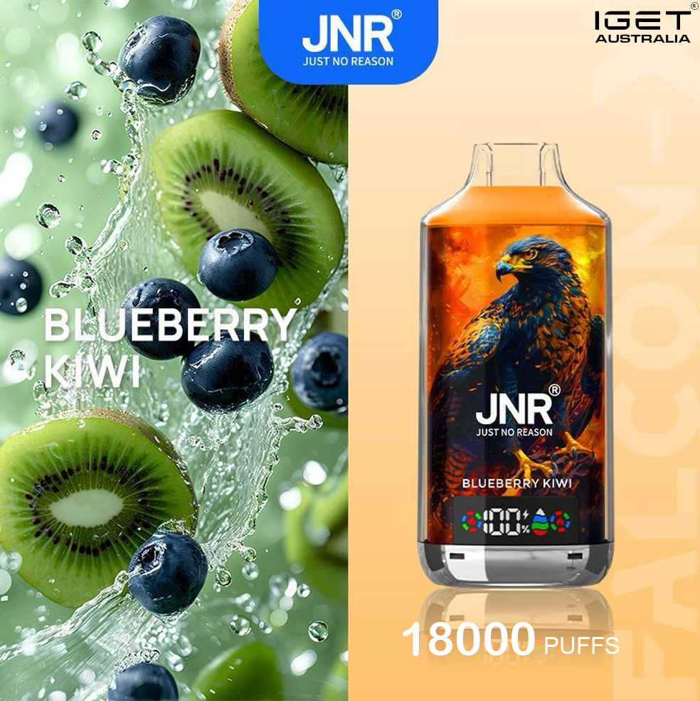 JNR FALCON -X BLUEBERRY KIWI - 18000 PUFFS