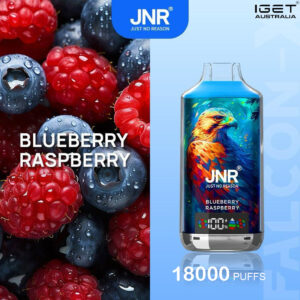 JNR FALCON -X BLUEBERRY RASPBERRY - 18000 PUFFS