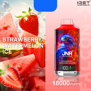 JNR FALCON -X STRAWBERRY WATERMELON ICE - 18000 PUFFS