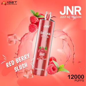 JNR SHISHA HOOKAH - RED BERRY BLUSH - 12000 PUFFS