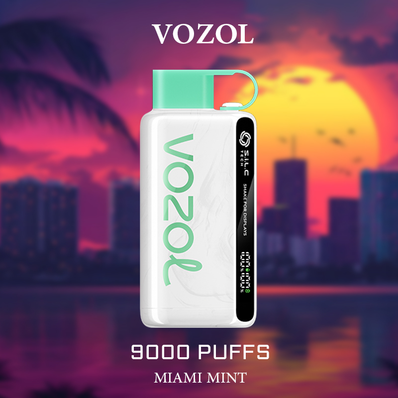 VOZOL MIAMI MINT - 9000 PUFFS