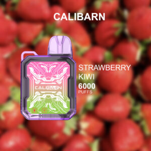 CALIBARN STRAWBERRY KIWI - 6000 PUFFS