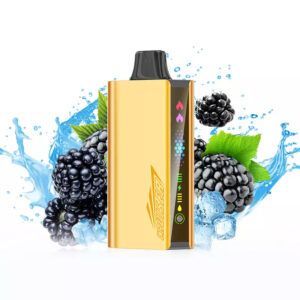 JNR CRUISER BLACKBERRY ICE 12000 - PUFFS