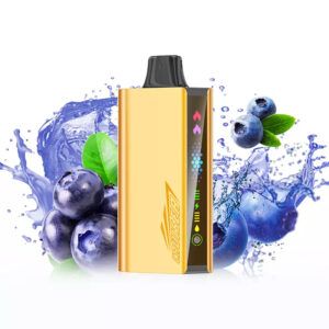 JNR CRUISER BLUEBERRY BLAST 12000 - PUFFS