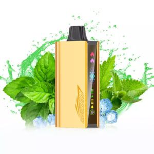 JNR CRUISER COOL MINT - 12000 PUFFS