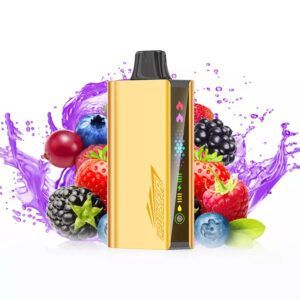 JNR CRUISER MIXED BERRY - 12000 PUFFS