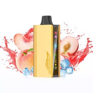 JNR CRUISER PEACH ICE - 12000 PUFFS