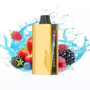 JNR CRUISER QUADRUPLE BERRY - 12000 PUFFS